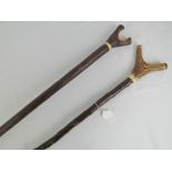 A walking stick with deer antler handle, together with a split top walking stick with antler collar,