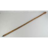 A bamboo walking cane with carved fir cone type handle, spiked ferrule, 46" in length.