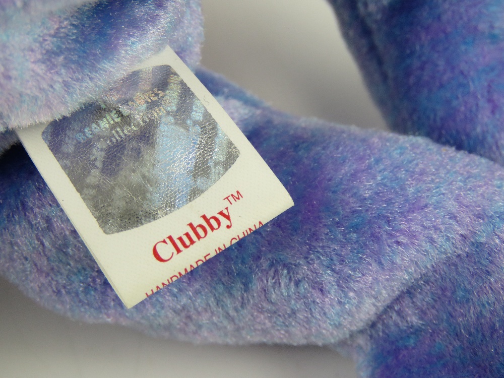 Ty Beanie Babies/Beanie Bears; misprinted 'Clubbie II' (having Clubbie label to bottom) no tag, - Image 2 of 4