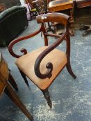 A SET OF SIX Wm.IV.MAHOGANY DINING CHAIRS, TWO SIMILAR SIDE CHAIRS AND A SIMILAR CARVER CHAIR. (9)