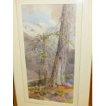 B.J.M.DONNE. 19th.20th.C. A SWISS MOUNTAINSCAPE, SIGNED AND DATED 1886, WATERCOLOUR. 51 x 25cms.