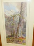 B.J.M.DONNE. 19th.20th.C. A SWISS MOUNTAINSCAPE, SIGNED AND DATED 1886, WATERCOLOUR. 51 x 25cms.