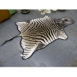 A BLUE CLOTH MOUNTED ZEBRA SKIN. W 280cms.