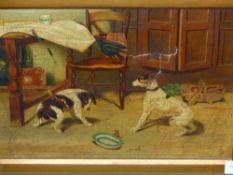 LATE 19th.C.NAIVE SCHOOL OUR FEATHERED FRIENDS, A PAIR OF OILS ON CANVAS. 26 x 36cms. (2)