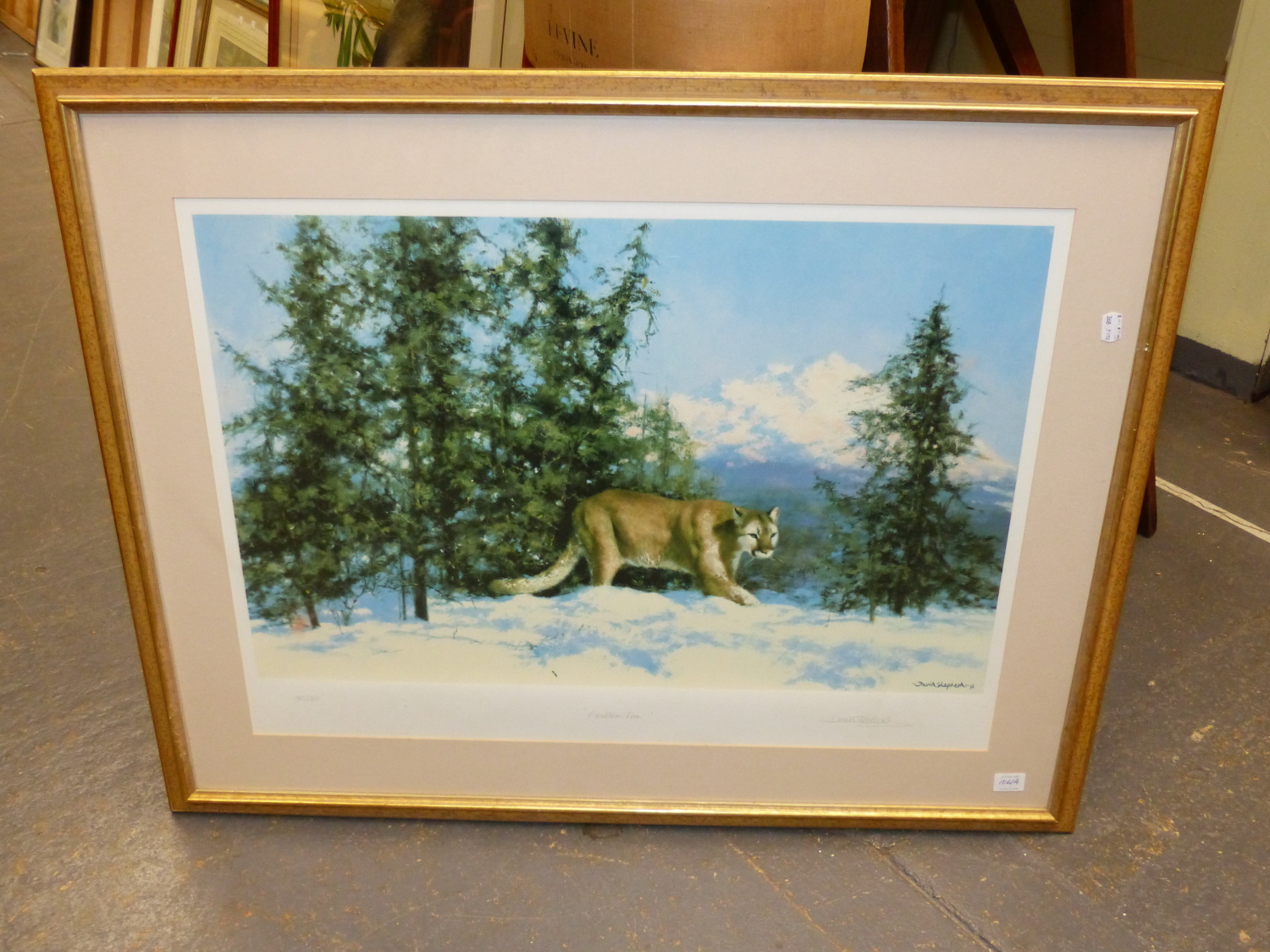 AFTER DAVID SHEPHERD. MOUNTAIN LION, A LIMITED EDITION PENCIL SIGNED COLOUR PRINT. 55 x 75cms. - Image 2 of 7