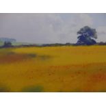 GODFREY SAYERS. CONTEMPORARY. ARR. A FIELD OF POPPIES, SIGNED WATERCOLOUR. 53 x 73cms.