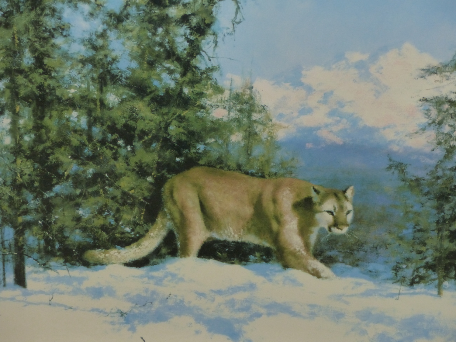 AFTER DAVID SHEPHERD. MOUNTAIN LION, A LIMITED EDITION PENCIL SIGNED COLOUR PRINT. 55 x 75cms.