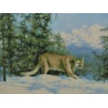 AFTER DAVID SHEPHERD. MOUNTAIN LION, A LIMITED EDITION PENCIL SIGNED COLOUR PRINT. 55 x 75cms.