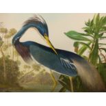 AFTER JOHN JAMES AUDUBON, LOUISIANA HERON, FOLIO COLOUR PRINT. 58.5 x 68.5cms.