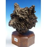 AN INTERESTING BUST SCULPTURE OF A SCOTTIE DOG MOUNTED ON AN OAK PLINTH, SIGNED C.TRENCHARD.