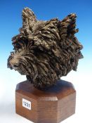 AN INTERESTING BUST SCULPTURE OF A SCOTTIE DOG MOUNTED ON AN OAK PLINTH, SIGNED C.TRENCHARD.