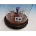 A COLLECTION OF FIVE 19TH C. MINIATURE SAMPLE DRINKING GLASSES ON VELVET STAND UNDER A GLASS DOME. H