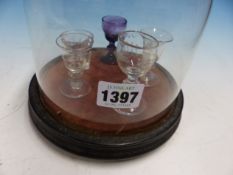 A COLLECTION OF FIVE 19TH C. MINIATURE SAMPLE DRINKING GLASSES ON VELVET STAND UNDER A GLASS DOME. H