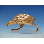 A WHITE METAL HAND CHASED FIGURE OF A GROUSE. L. 16cms, H. 8cms.