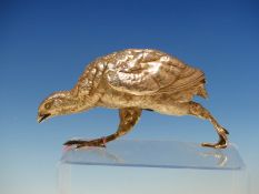 A WHITE METAL HAND CHASED FIGURE OF A GROUSE. L. 16cms, H. 8cms.