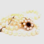 A ROW OF GRADUATED KNOTTED CULTURED PEARLS FITTED WITH A PEARL AND GEMSET CLASP MOUNTED IN 9ct