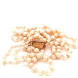 A CIRCO TWO ROW CULTURED GRADUATED KNOTTED PEARL NECKLACE ON A 9ct GOLD CLASP. SHORTEST ROW 47cms.