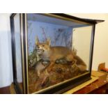 TAXIDERMY. A CASED GROUP OF FOX WITH PREY IN NATURALISTIC SETTING, LABELLED TO BACK "BAZELEY".