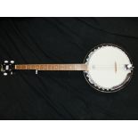 AN OZARK BANJO.