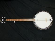 AN OZARK BANJO.