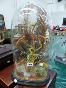 AN ARRANGEMENT OF GRASSES ABOUT A TREE TRUNK UNDER A GLASS DOME. H 42.5cms.