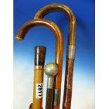 A WALKING CANE MOUNTED WITH A 9CT GOLD BAND, TWO WALKING STICKS WITH SILVER BANDS AND A SWAGGER