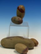 A COLLECTION OF FIVE INDIAN RIVER POLISHED LINGAM STONES. THE LARGEST. W 18cms.