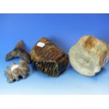 A FOSSILISED PLESIOSAUR VERTEBRA, A MEGALADON SHARK TOOTH, A MAMMOTH'S TOOTH. W 14cms AND A GREY