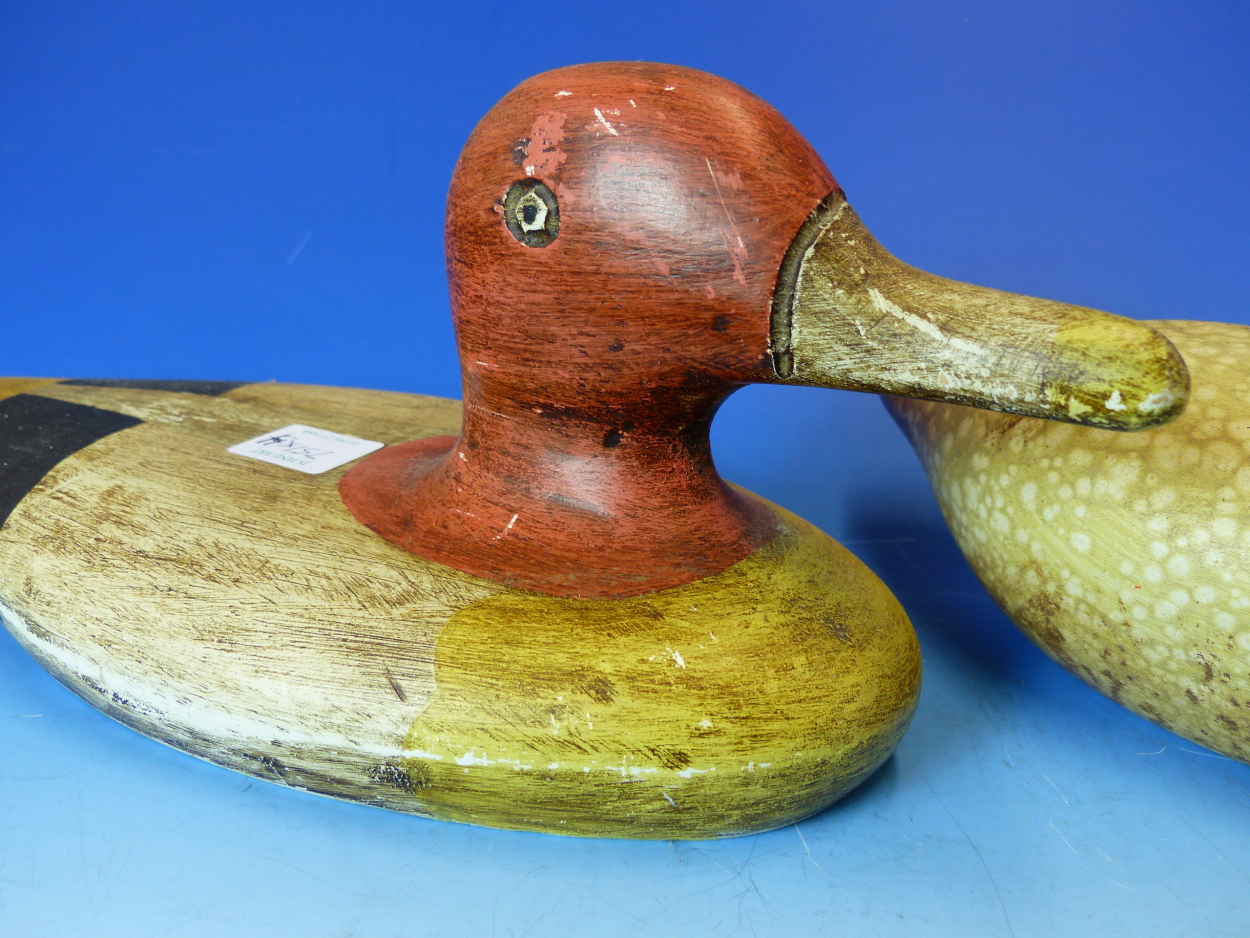 THREE CARVED AND PAINTED DUCK DECOYS, LENGTH OF LARGEST 39cms, TOGETHER WITH A CERAMIC EXAMPLE. - Image 11 of 25