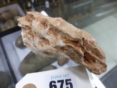 AN EXTENSIVE ROCK AND FOSSIL COLLECTION INCLUDING SOME POLISHED SPECIMENS.