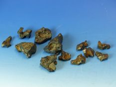 SIX METEORITE FRAGMENTS (MORROCO) TOGETHER WITH A FURTHER GROUP OF SIX.