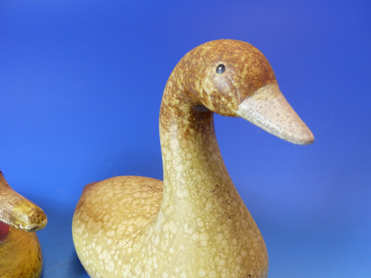 THREE CARVED AND PAINTED DUCK DECOYS, LENGTH OF LARGEST 39cms, TOGETHER WITH A CERAMIC EXAMPLE. - Image 9 of 25