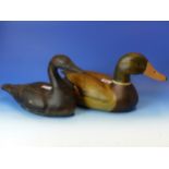 THREE CARVED AND PAINTED DUCK DECOYS, LENGTH OF LARGEST 39cms, TOGETHER WITH A CERAMIC EXAMPLE.