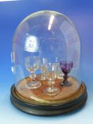 A COLLECTION OF FIVE 19th.C. MINIATURE SAMPLE DRINKING GLASSES ON VELVET STAND UNDER A GLASS DOME.