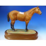 A 1962 ROYAL WORCESTER FIGURE OF AN AMERICAN REGISTERED QUARTER HORSE MODELLED BY DORIS LINDNER. W