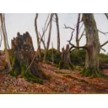 SIMON MOUNCEY. CONTEMPORARY. ARR. A WOODLAND VIEW, MONOGRAMMED, OIL ON BOARD. 29.5 x 42cms.