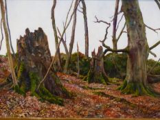 SIMON MOUNCEY. CONTEMPORARY. ARR. A WOODLAND VIEW, MONOGRAMMED, OIL ON BOARD. 29.5 x 42cms.
