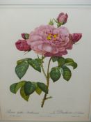 SIX BOTANICAL COLOUR PRINTS OF ROSES AFTER REDOUTE TOGETHER WITH SIX FRENCH FASHION PRINTS. (12).