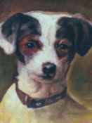 20th.C.ENGLISH SCHOOL. PORTRAIT OF A TERRIER, OIL ON BOARD. 29.5 x 24cms.