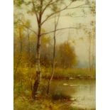 E. PARTON. 19th/20th.C.. SILVER BIRCHES, SIGNED OIL ON CANVAS, PROVENANCE COOLING GALLERIES. 43 x