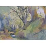 NANCY CORKISH. CONTEMPORARY. ARR. THE WEIR, SIGNED WATERCOLOUR. 37 x 55cms TOGETHER WITH A LANDSCAPE