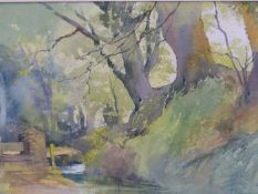 NANCY CORKISH. CONTEMPORARY. ARR. THE WEIR, SIGNED WATERCOLOUR. 37 x 55cms TOGETHER WITH A LANDSCAPE