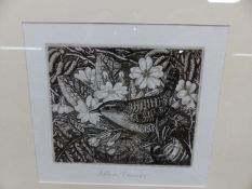 ROBIN TANNER. (1904-1988) ARR. WREN AND PRIMROSES, PENCIL SIGNED ETCHING. 13 x 14cms.