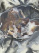 20th.C.SCHOOL THE SLEEPING BEAGLE, INITIALLED AND DATED, PASTEL. 28 x 25.5cms.