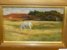 ARTHUR LEMON. (1850-1912) OUT TO PASTURE, NEW FOREST, OIL ON PANEL. 12 x 19cms.