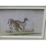 AN INDIAN COMPANY SCHOOL WATERCOLOUR PAINTED WITH TWO DEER BY A TREE. 16.5 x 23.5cms.