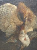 OLD MASTER SCHOOL. STUDY OF HANGING FOWL, OIL ON CANVAS LAID DOWN, UNFRAMED. 59 x 52cms.