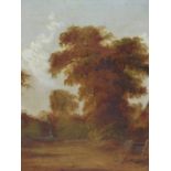 19th.C.ENGLISH SCHOOL. A COUNTRY TRACK, OIL ON CANVAS. 35.5 x 30cms.