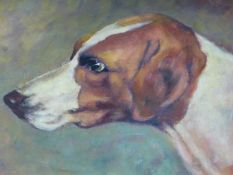 20th.C.ENGLISH SCHOOL. PORTRAIT OF A FOXHOUND, OIL ON BOARD. 20 x 30cms.