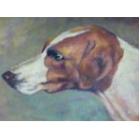 20th.C.ENGLISH SCHOOL. PORTRAIT OF A FOXHOUND, OIL ON BOARD. 20 x 30cms.